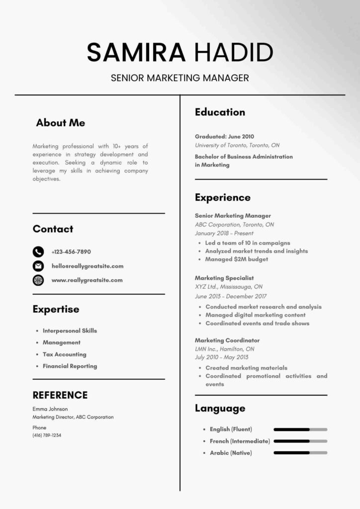 Modern Professional Resume Template